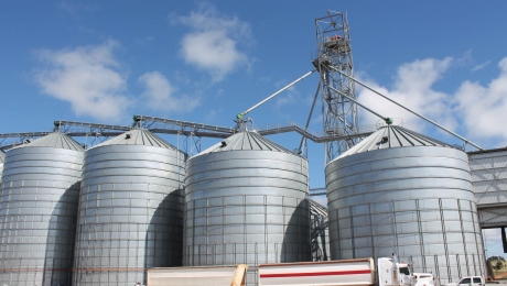 Сільгоспвиробники Казахстану наполягають на скасуванні плати за зберігання зерна