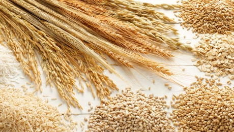 Экспорт зерновых из Украины с начала текущего МР продолжает расти