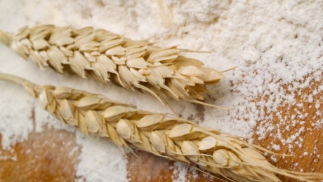 Показники експорту зернових з України в поточному маркетинговому році становитимуть 40 мільйонів тонн