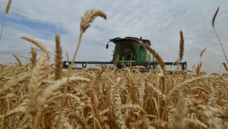 Harvesting campaign has started in the three federal districts of Russia