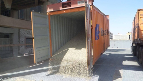 Нова концесія терміналів у порту Чорноморськ