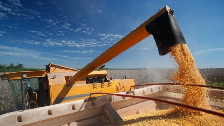 Экспорт зерна из Украины на этой неделе активизирован