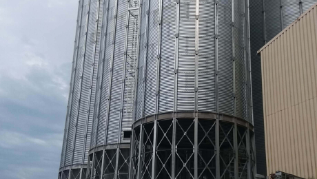 Казахстан розширює зернопереробку