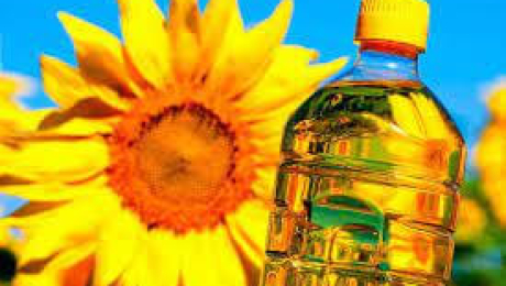 Sunflower oil production in Ukraine will grow by 25% in the current season