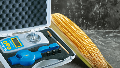 Ukrainian Corn Market Gains Momentum as Moisture Control Becomes Key for the New Harvest