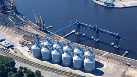 Показники експорту зернових культур з морських портів України впали