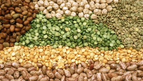 Количество зерновых и бобовых в зернохранилищах Костаная увеличилось, в сравнении с прошлым годом