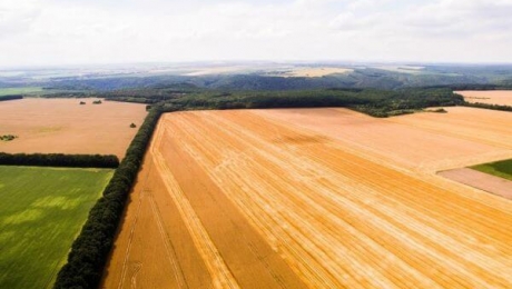 Намолот зерна в Акмолинском регионе в 4 раза меньше, чем удалось получить в прошлом году