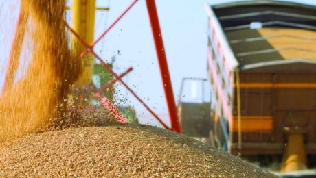Экспорт зерна из Украины за 2 недели апреля составил более 1 миллиона тонн