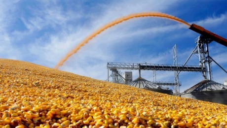 Экспорт зерновых из Украины останется на том же уровне