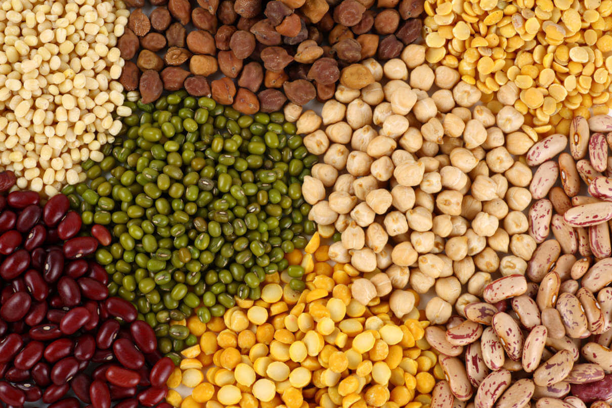 Ukraine can take a leading position among the producers of legumes