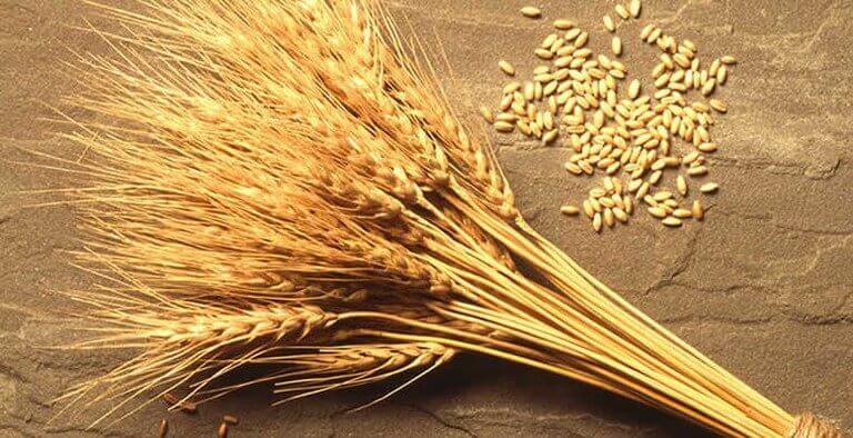Экспортные поставки пшеницы из Украины достигли 2 миллионов тонн