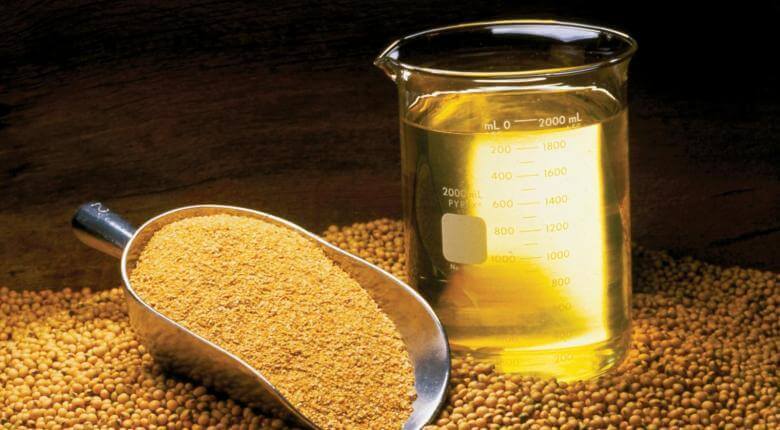 Ukraine exported almost 5 million tons of the sunflower oil during the 9 months of 2020