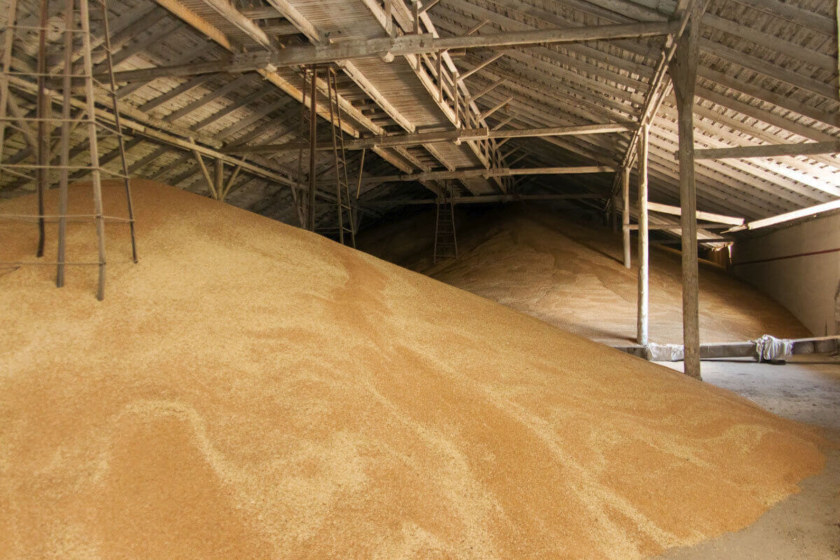 В Акмолинской обл. хранится 1/3 всего зерна Казахстана