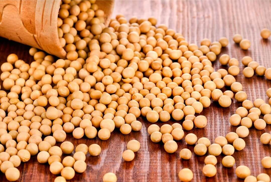 In Ukraine, the production of soybean oil increased