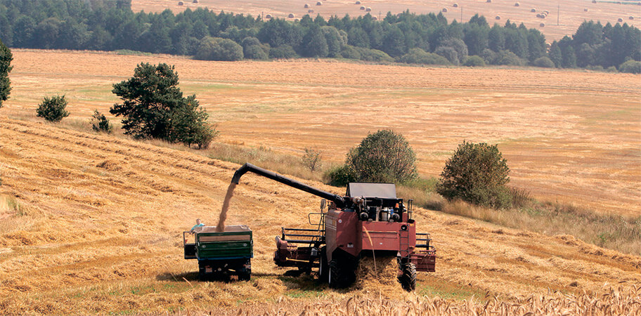 В южных регионах Казахстана в процессе уборочной кампании собрано более 0,4 млн тонн зерновых