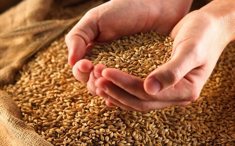 По состоянию на начало июля количество зерна в главных зерновых областях Казахстана составило 4 млн тонн