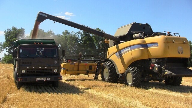 В Казахстане 50% зерновых культур уже убрано